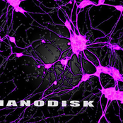 nanodisk