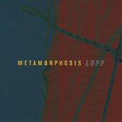 Zigzag by Metamorphosis