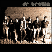 Dr brown