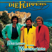 Nur Eine Weiße Rose by Die Flippers