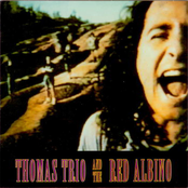 Necessity Of Love by Thomas Trio And The Red Albino