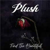 Plush: Find The Beautiful