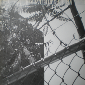 Project for a Revolution in New York