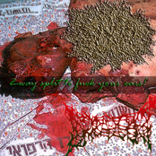 Anal Bag / Dread Cunt split