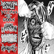 Dioctophyma Renale / Vitimas Do Crack / Gangrene Discharge / Bovine Fecal Matter / K9 Hemorrhoids