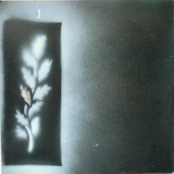 The Erudition Project