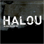 Albatross by Halou