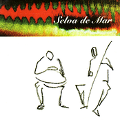 Indio Hindu by Selva De Mar