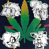 MIDI BUNNY 420 (LIVE, ONLY NOT)