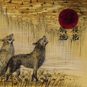 鐵槌 / 櫻花