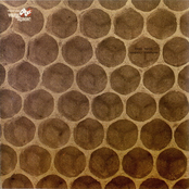 Integrati ... Disintegrati