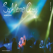 Koncert (Live)