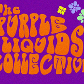 the purple liquids collective