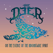 The Deer: On the Essence of the Indomitable Spirit