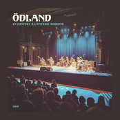 En concert à l'Épicerie moderne 2019