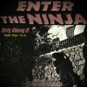 ENTER THE NINJA