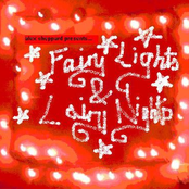 Fairy Lights & Lairy Nights