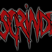 Assgrinder