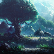 This Solitary Creation