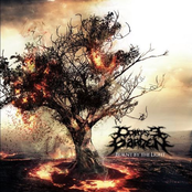 Burn By The Light