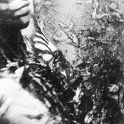 Craving for Human Flesh