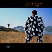 Delicate sound of thunder (live) cover