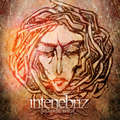 Fall In Every Season