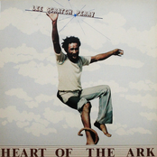 Heart of the Ark