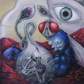 blue bottle in a jam jar