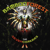 Nice To Know by Bamboo Forest