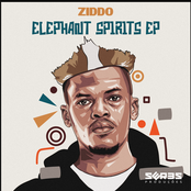 Elephant Spirits EP