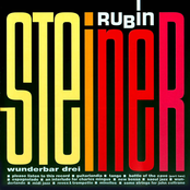 Please Listen To This Record by Rubin Steiner