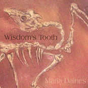 Wisdom's Tooth