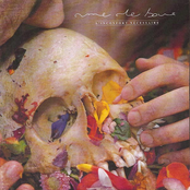 L'Inconfort Nécessaire