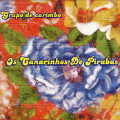 Os Canarinhos de Pirabas