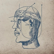 Mythology Of Brain & Body