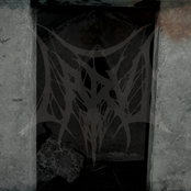 Occultus Tenebrae