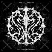 Kingdom Under Your Feet (feat. Jose Manuel TTS) [Explicit]