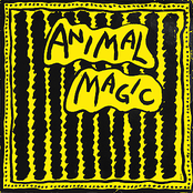 Get It Right by Animal Magic