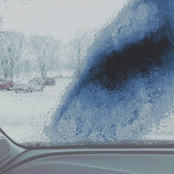 The Long Feral Scream