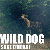 Wild Dog - Single