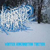 Winter Hibernation Tactics