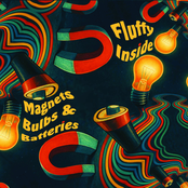 Magnets Bulbs And Batteries