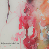 Get Reincarnated or Die Trying