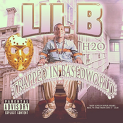 Beez In Da Hood by Lil B