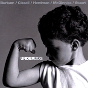 Audio Adrenaline: Underdog