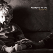 In a Grey Turquoise Forest