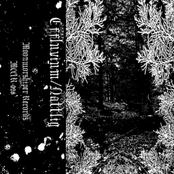 Effluvium / Nattlig