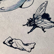 В объятиях мух