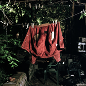 You Win Some, You Loser